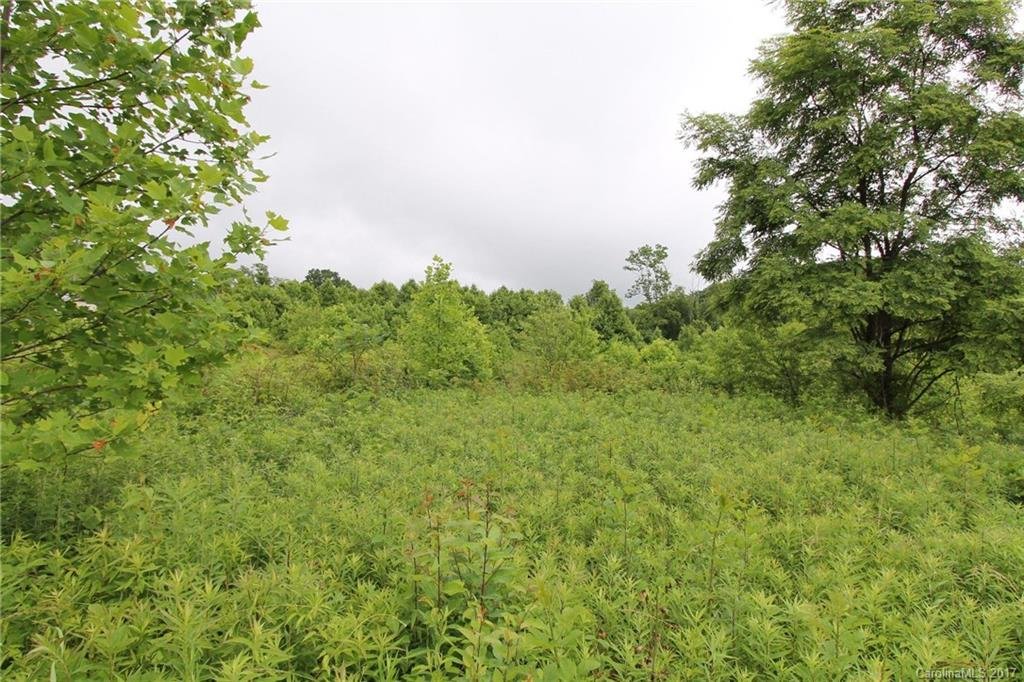 Property image 1 at 363 Eagles Eye Drive, Hendersonville, NC 28792