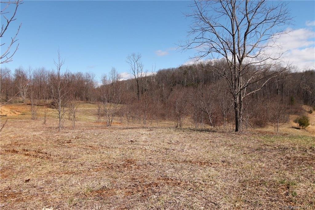 Property image 1 at 323 Eagles Eye Drive, Hendersonville, NC 28792