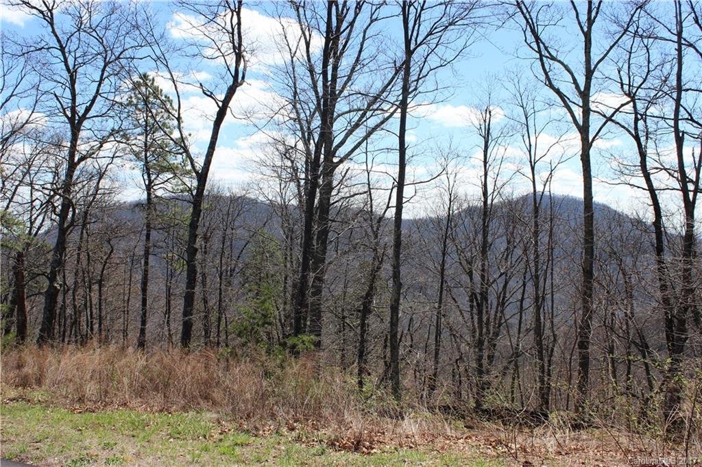 Property image 1 at 87 Big Oak Ridge, Lake Lure, NC 28746