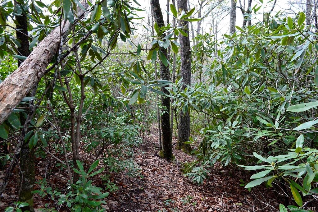 Property image 1 at 104 Carriage Drive, Fairview, NC 28730