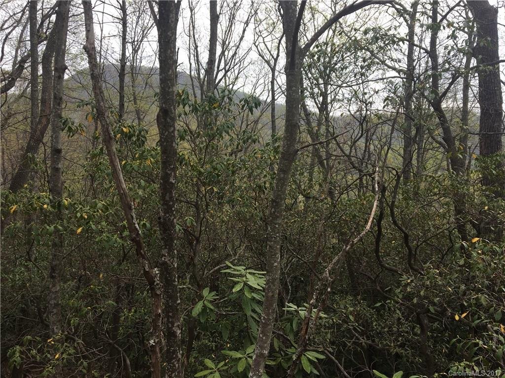 Property image 1 at 9999 Old Mill Road, Hendersonville, NC 28792