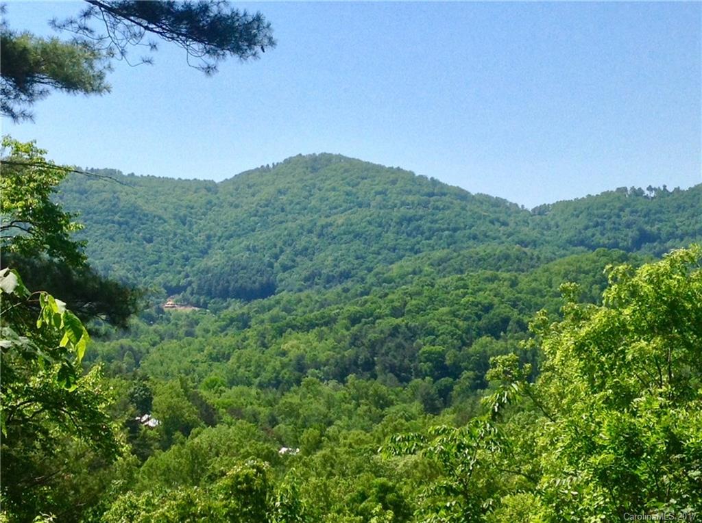 Property image 1 at 9999 Black Oak Drive, Asheville, NC 28804