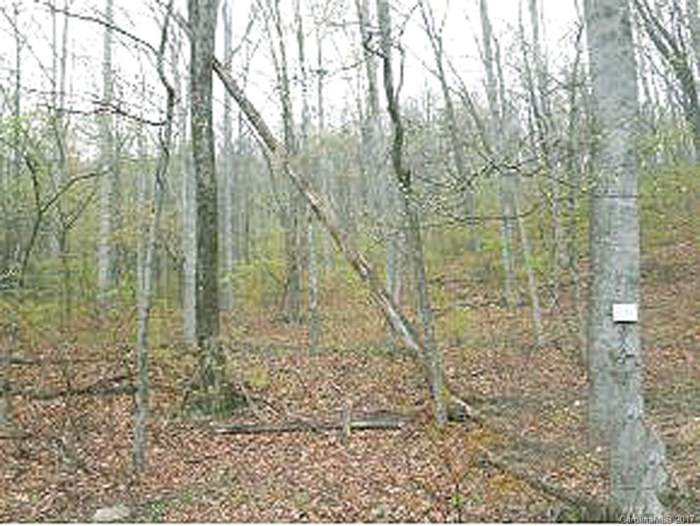 Property image 1 at 80 Whiteside Trail, Hendersonville, NC 28792