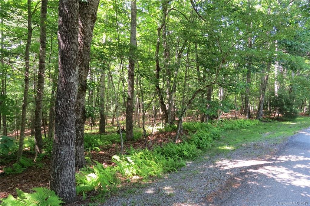 Property image 1 at Lot 1 Sassafras Road, Cedar Mountain, NC 28718