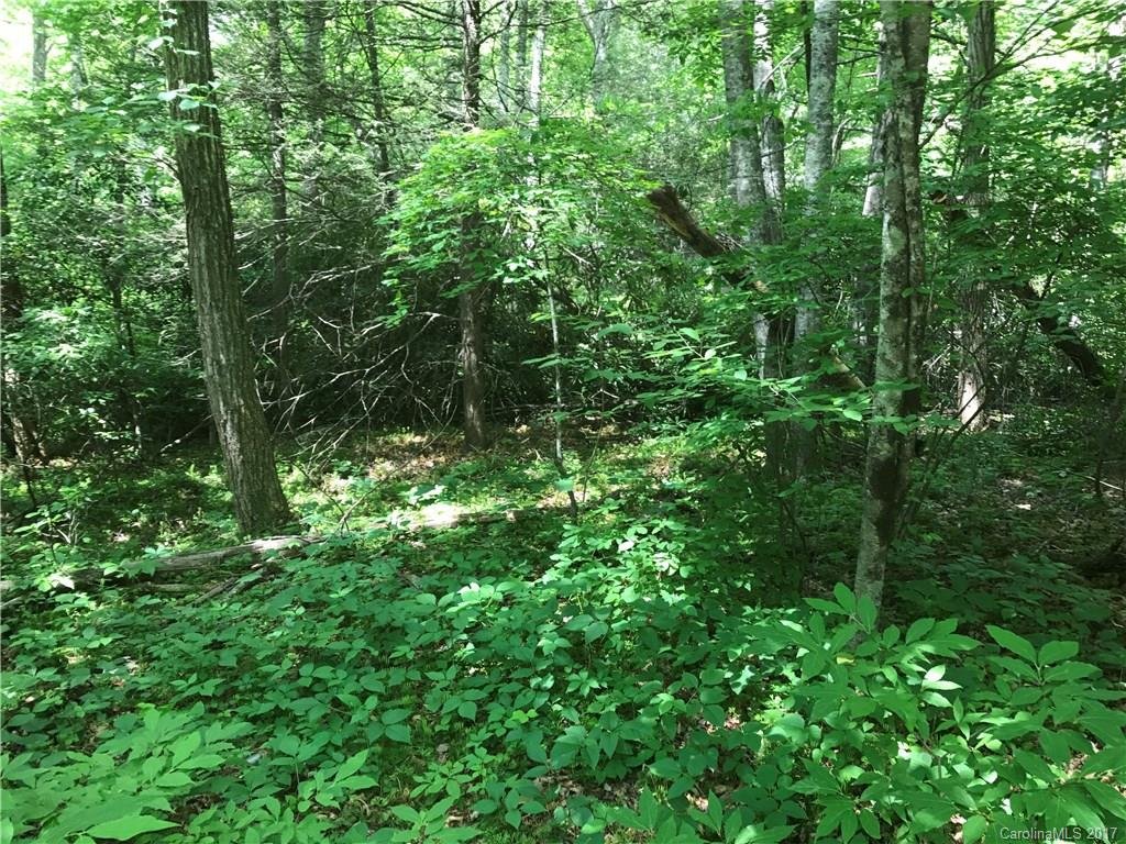 Property image 1 at 000 W Woodland Trail, Hendersonville, NC 28792