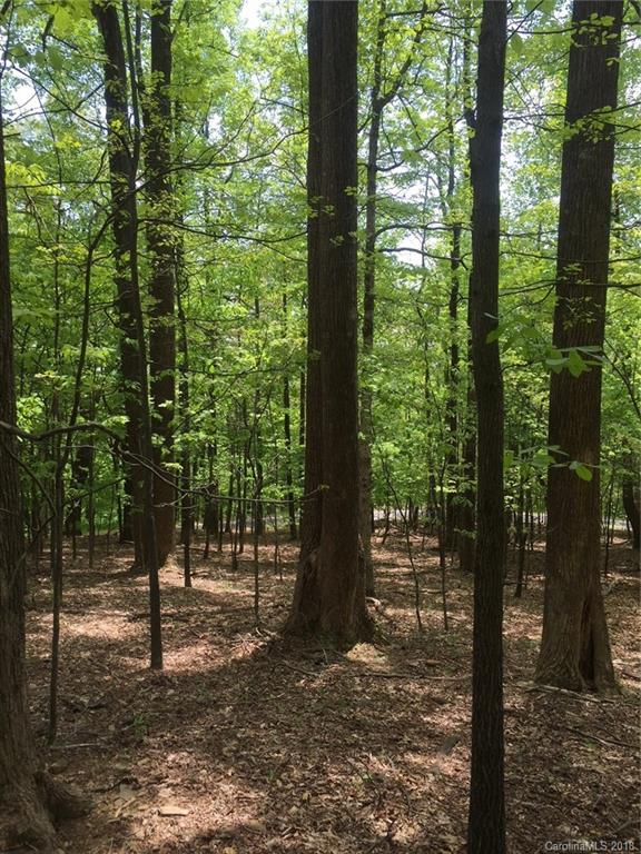 Property image 1 at 3861 Skyuka Mountain Road, Columbus, NC 28722