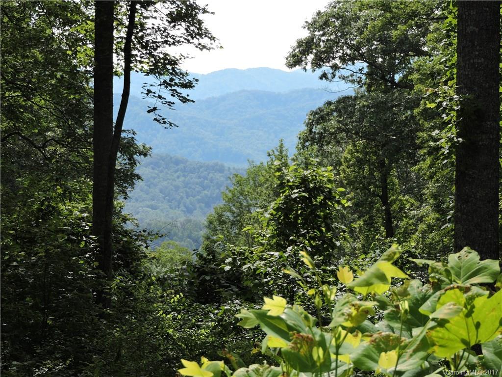 Property image 1 at Lot 22 Red Wolf Run None, Mars Hill, NC 28754