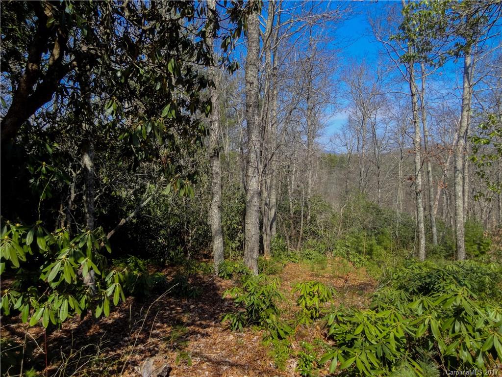 Property image 1 at 000 Pack Drive, Spruce Pine, NC 28777