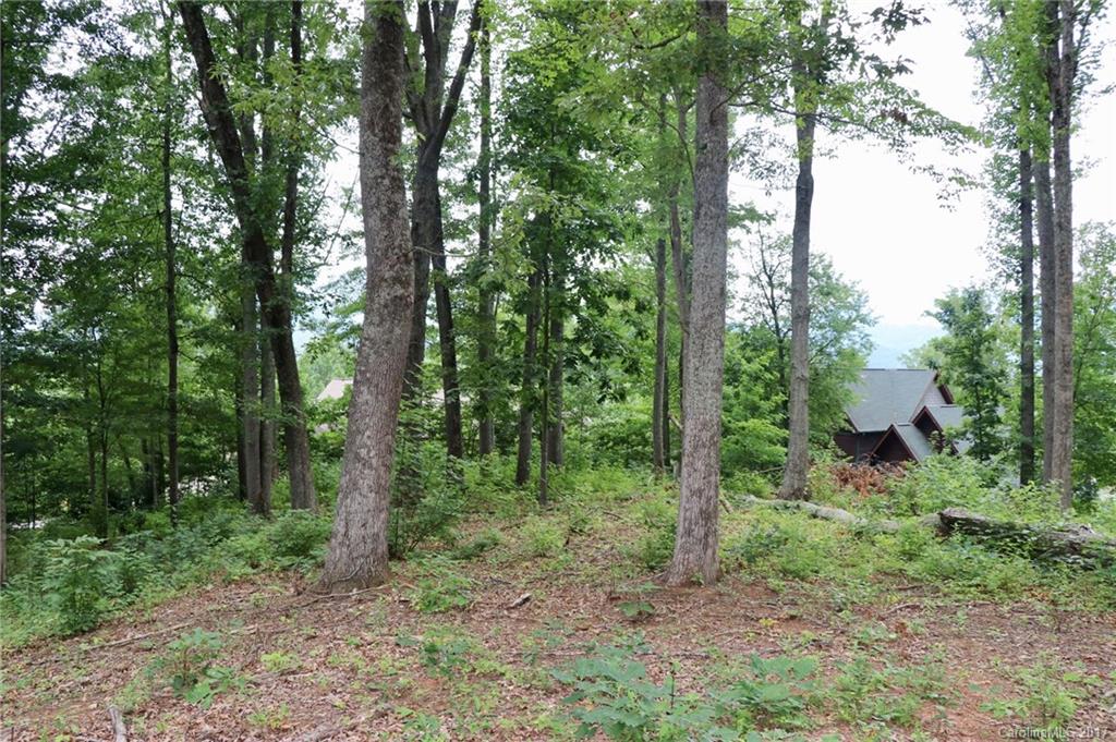 Property image 1 at L 86 Denman Drive, Lake Junaluska, NC 28745