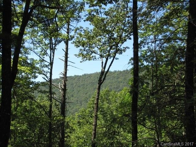 Property image 1 at 499 Peppervine Circle, Rosman, NC 28772