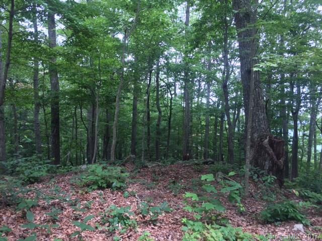 Property image 1 at 2 Ridge Drive, Saluda, NC 28773