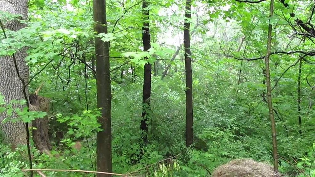 Property image 1 at 9 Oak Mountain Drive, Leicester, NC 28748