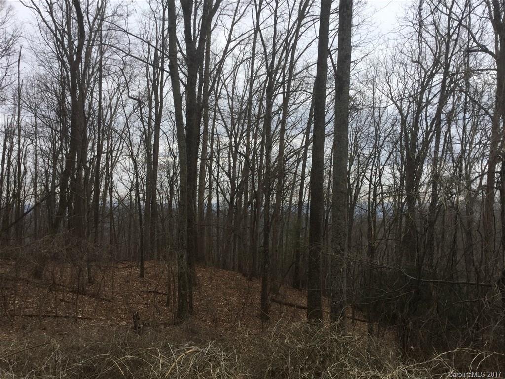 Property image 1 at 24 Goose Creek Road, Swannanoa, NC 28778