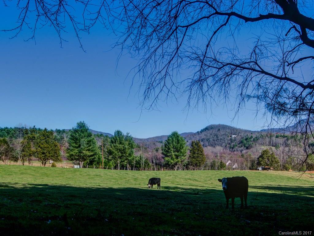 Property image 1 at Lot 6 Olivia Trace, Fletcher, NC 28732