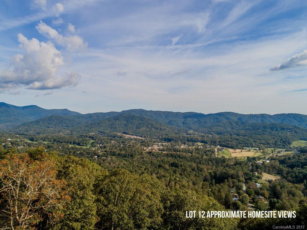 Property image 1 at 45 Longstreet Court, Weaverville, NC 28787