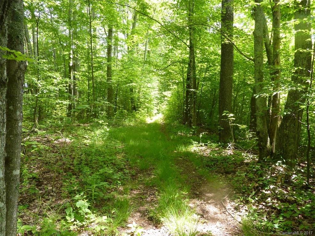 Property image 1 at Tbd Running Bear Road, Hot Springs, NC 28743