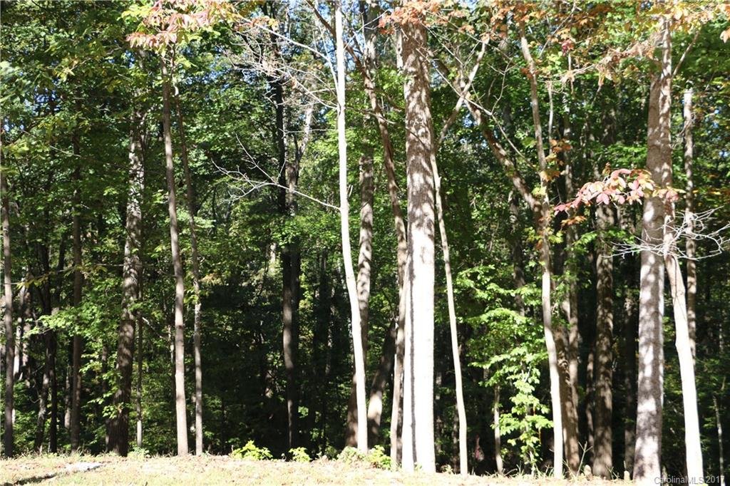 Lot 17 Ridgebrook Drive