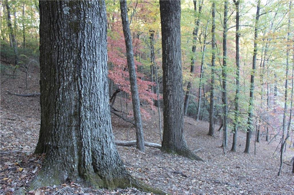 Property image 1 at 9999 Shining Rock Path, Mills River, NC 28759