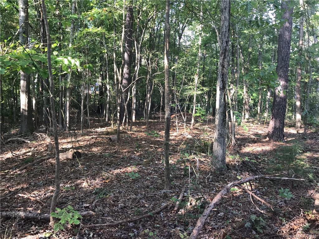 Property image 1 at 365 Stone Cliff Lane, Clover, SC 29710