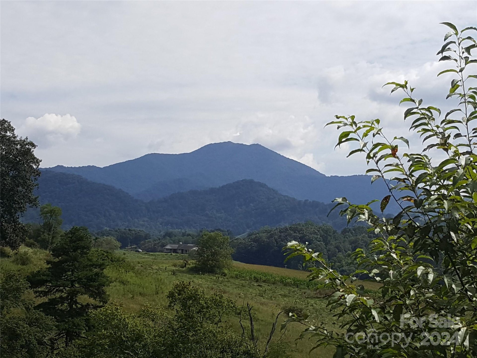 Property image 1 at 62 Turkey Hollow Drive, Waynesville, NC 28785