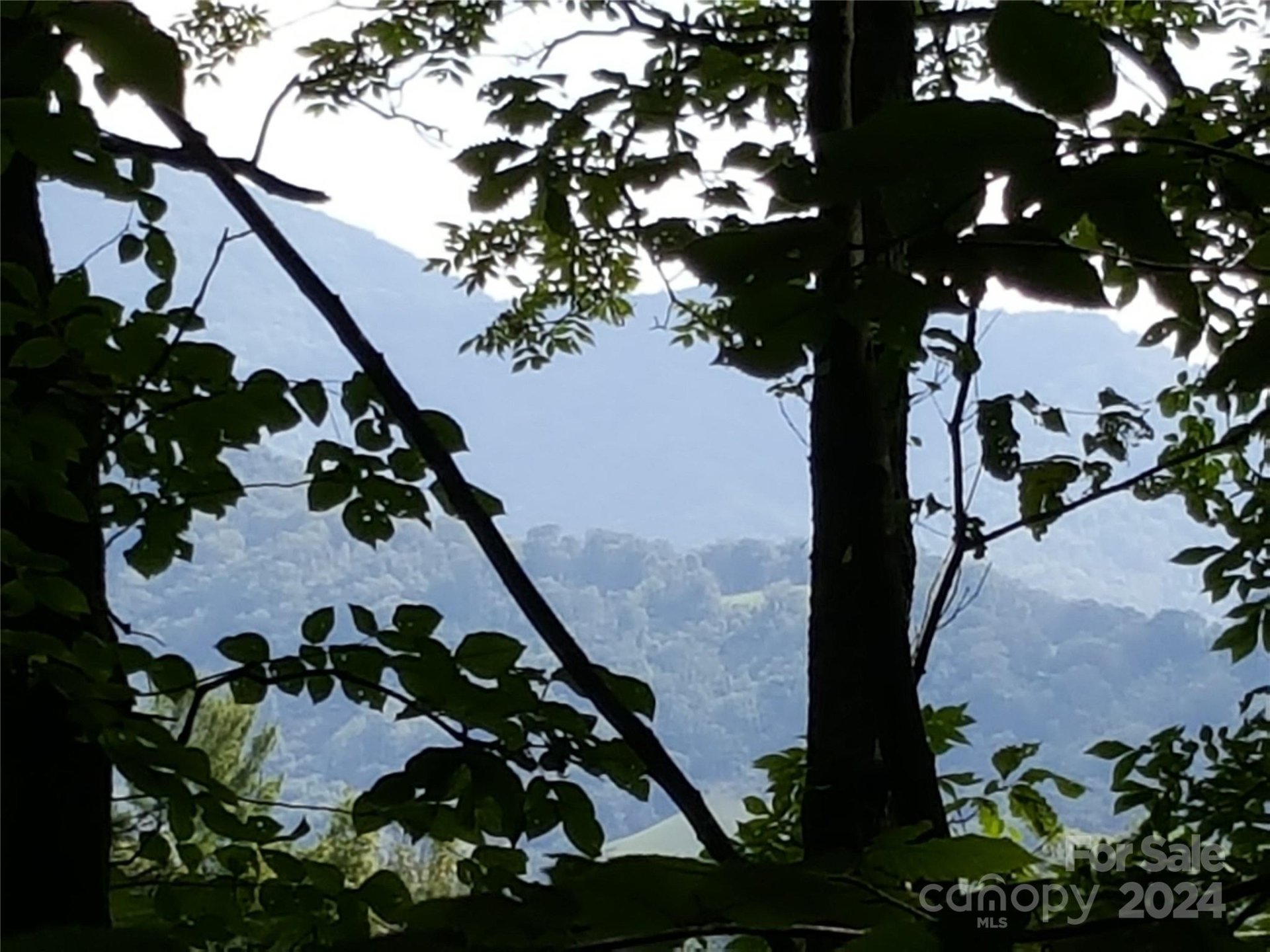 Property image 2 at 62 Turkey Hollow Drive, Waynesville, NC 28785