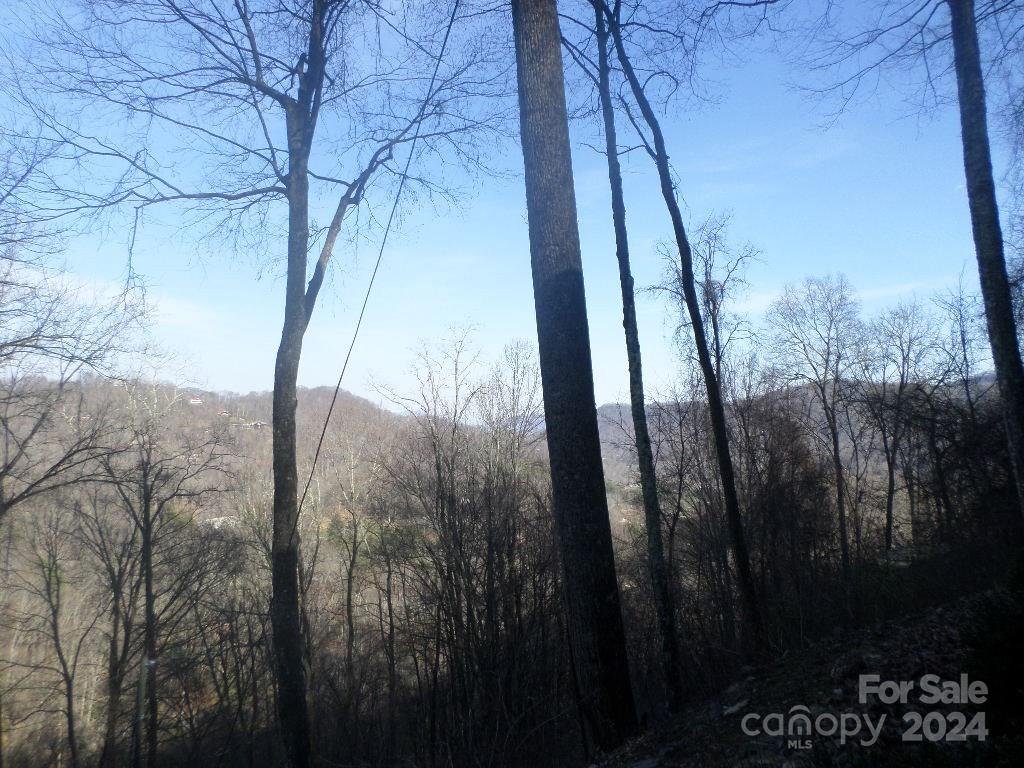Property image 3 at 62 Turkey Hollow Drive, Waynesville, NC 28785
