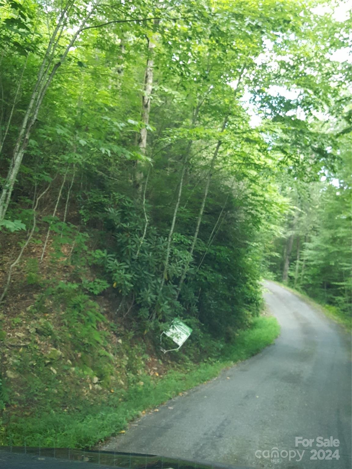 Property image 4 at 62 Turkey Hollow Drive, Waynesville, NC 28785
