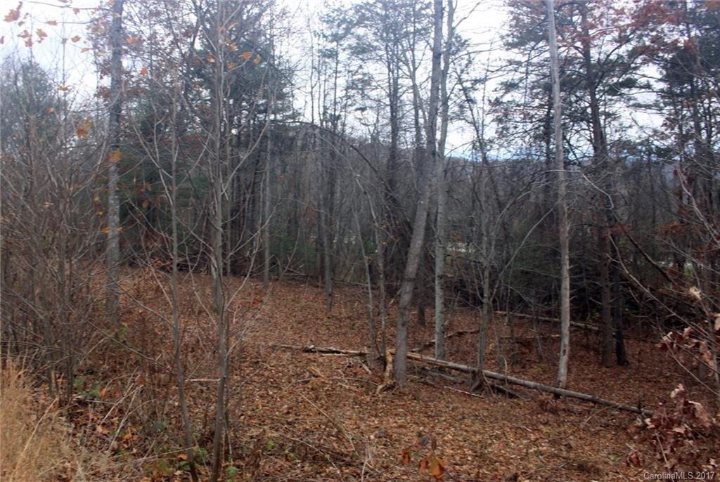 Property image 1 at 22 Bachelder Drive, Candler, NC 28715