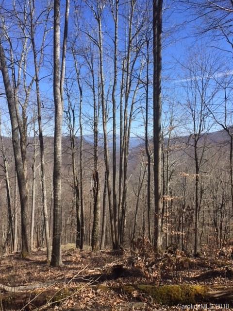 Property image 1 at Na Mountain Gait Drive, Mars Hill, NC 28714