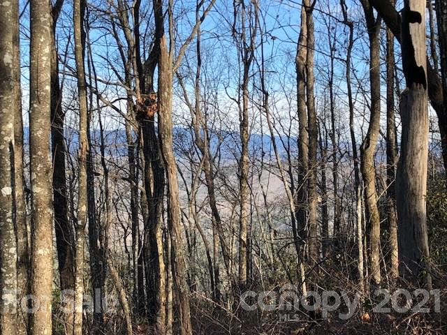 Property image 1 at Lot 7 Rock Creek Road, Rosman, NC 28772