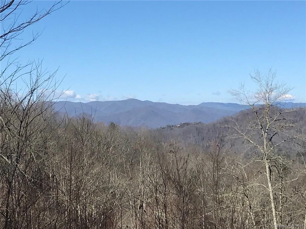 Property image 1 at 99999 Pretty Precious Lane, Whittier, NC 28789