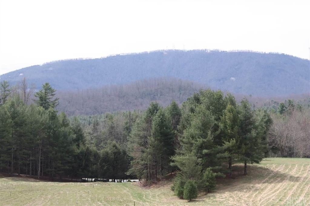 Property image 1 at 0 Trellem Trail, Hendersonville, NC 28739