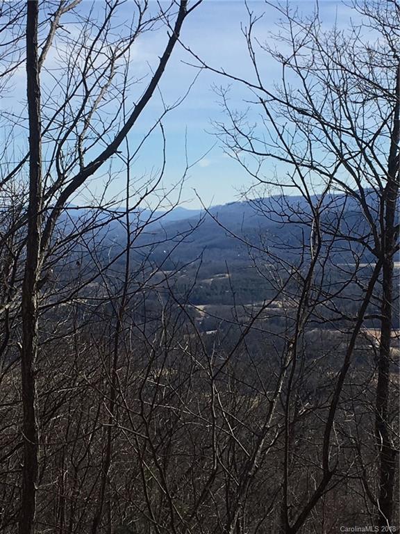 Property image 1 at 95 Bobcat Lair Drive, Mills River, NC 28759