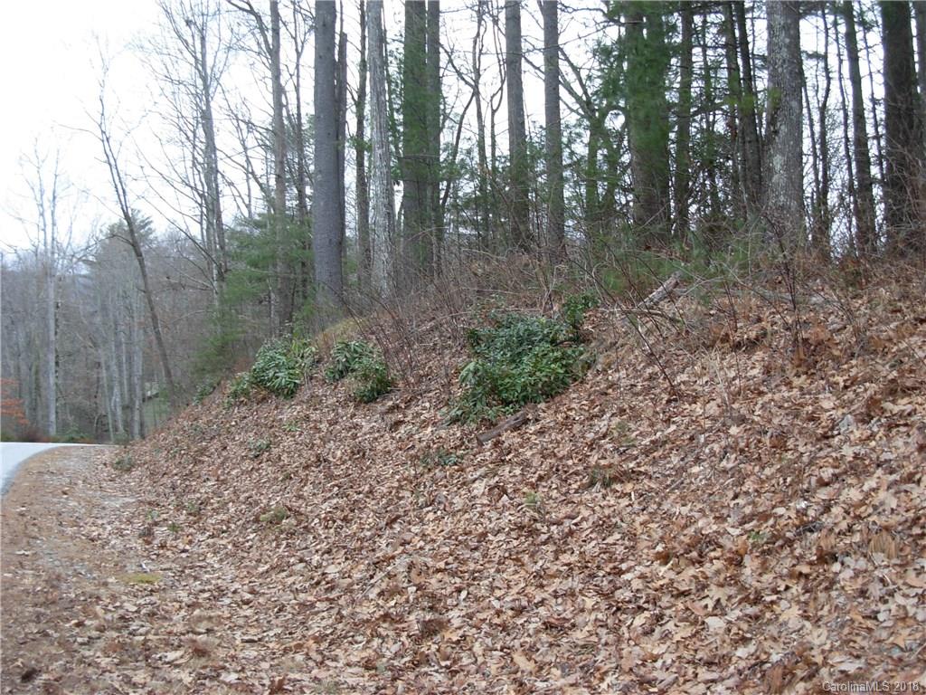Property image 1 at Tbd Upper Whitewater Road, Sapphire, NC 28774