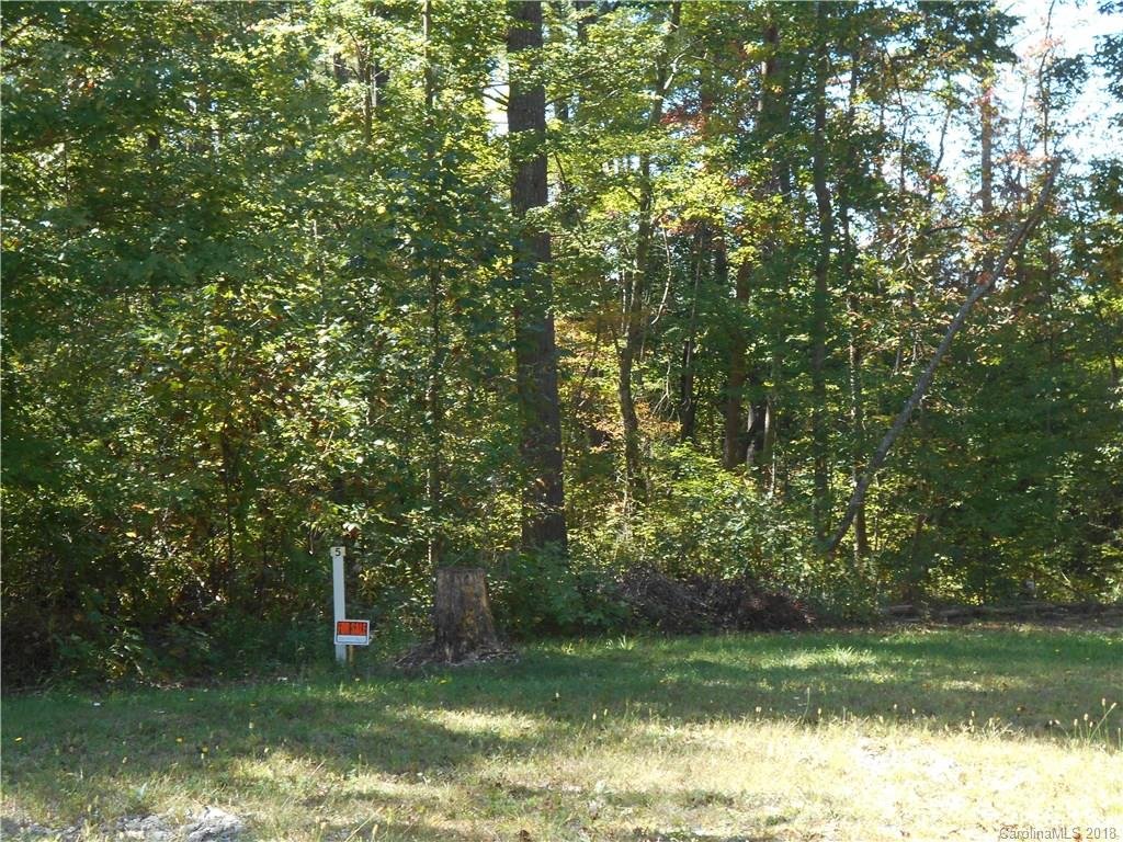 Property image 1 at 0000 Snook S Path, Mars Hill, NC 28754