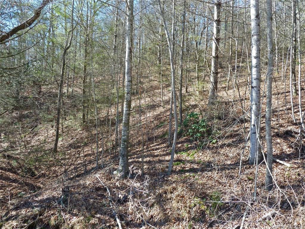 Property image 1 at 40 Shoal Creek Road, Balsam Grove, NC 28708