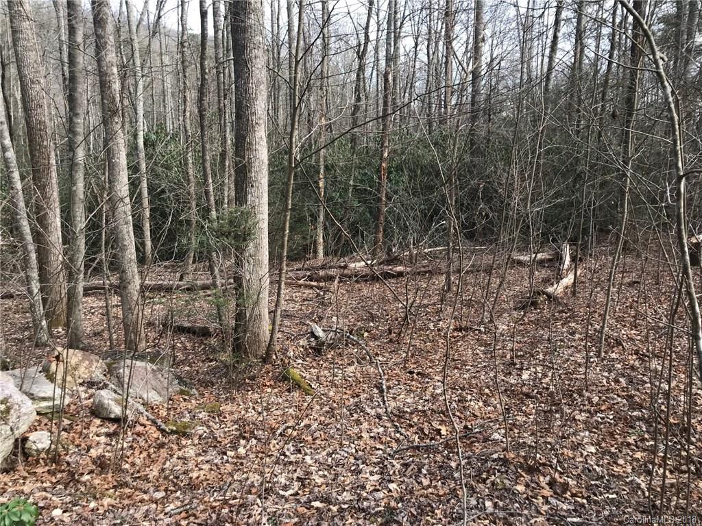 Property image 1 at 914 Wash Freeman Road, Hendersonville, NC 28792