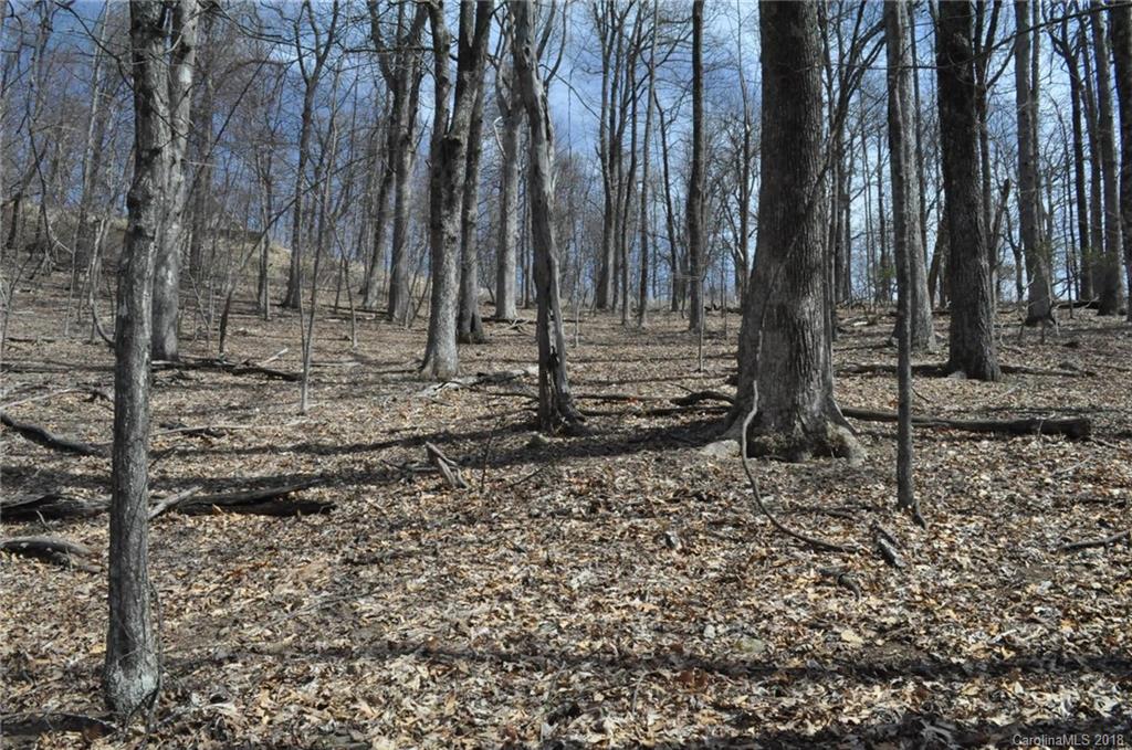 Property image 1 at 0 Skyuka Mountain Road, Columbus, NC 28722