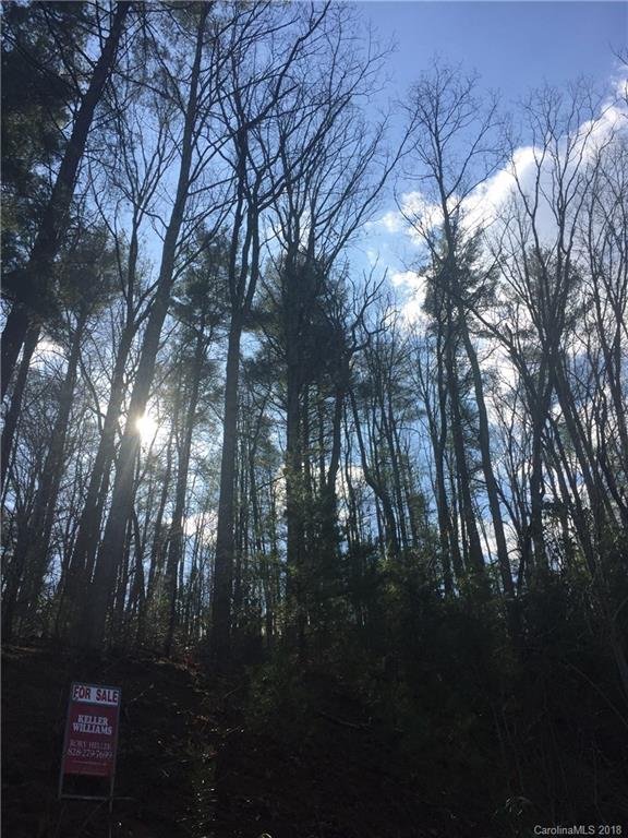 Property image 1 at 12 Forest Spring Drive, Asheville, NC 28804