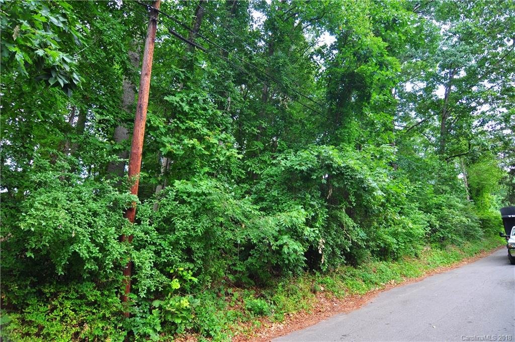 Property image 1 at 00 Fern Street, Asheville, NC 28803