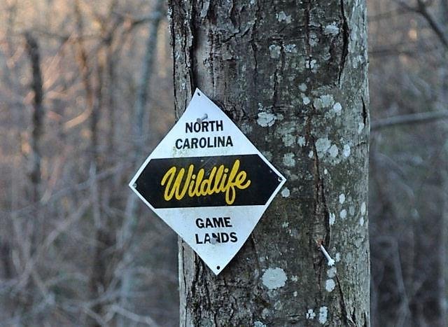 Property image 1 at 6985 Table Rock Road, Newland, NC 28657