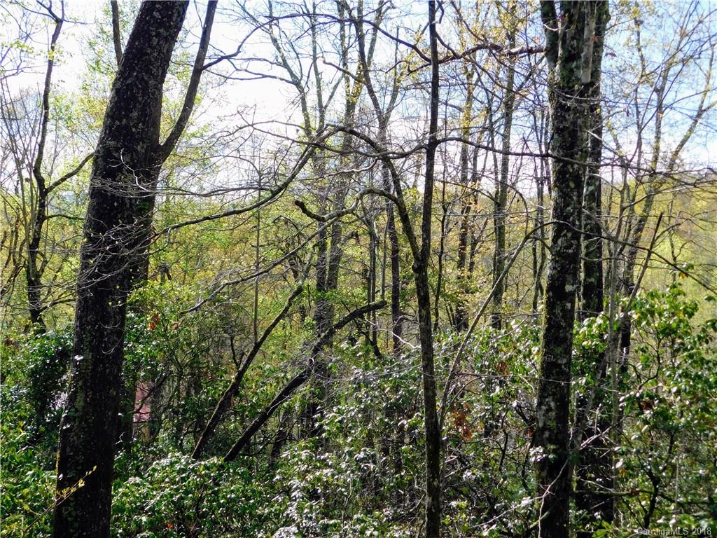 Property image 1 at L25r Pisgah Forest Drive, Pisgah Forest, NC 28768