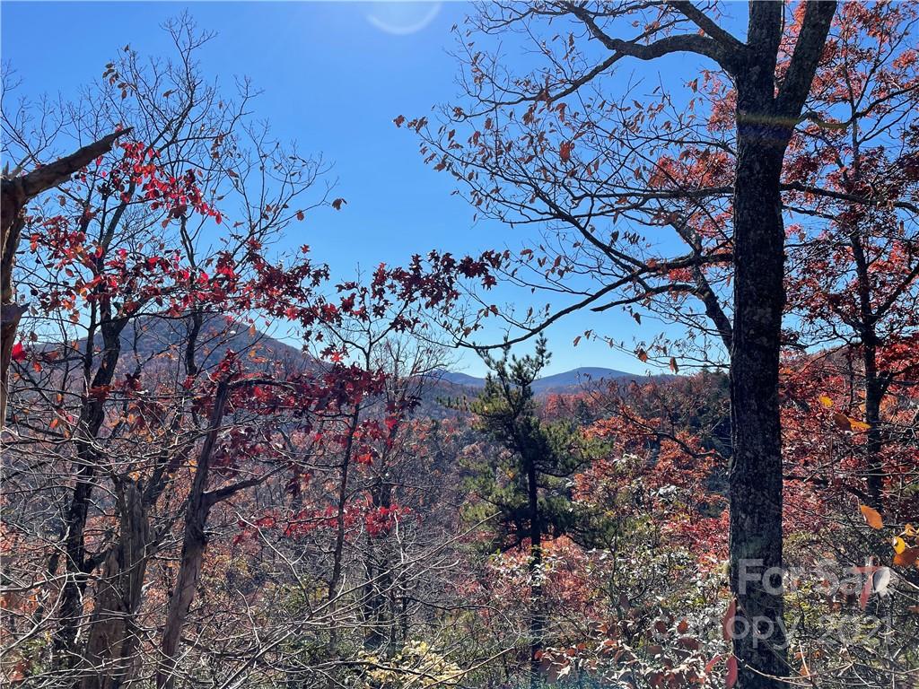 Property image 1 at Tbd Miller Cove Road, Black Mountain, NC 28711