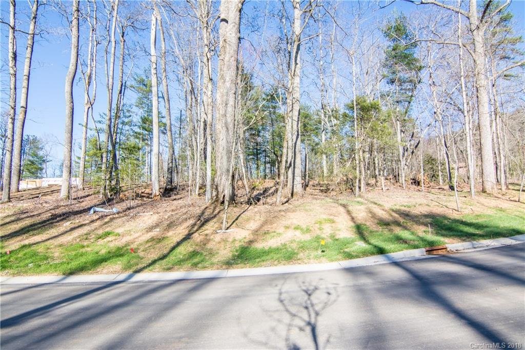 Property image 1 at Tbd Olivet Lane, Fletcher, NC 28732