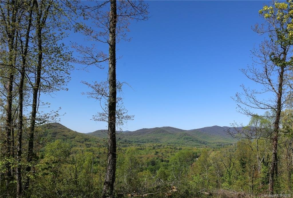 Property image 1 at 62 Arabella Lane, Arden, NC 28704