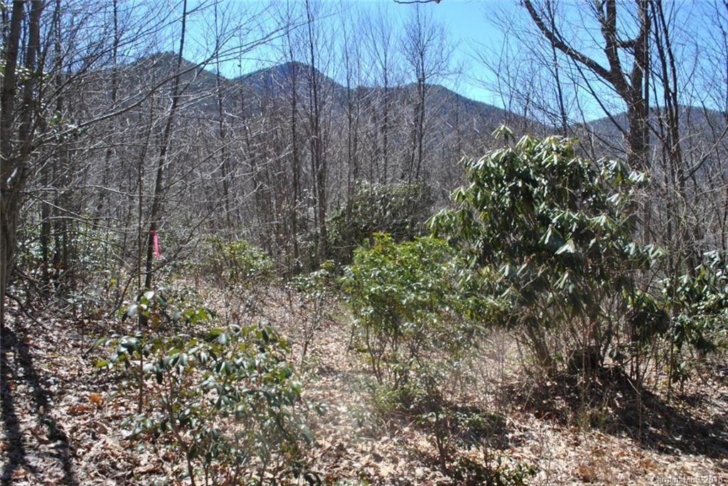 Property image 1 at 00 Chickadee Lane, Maggie Valley, NC 28751