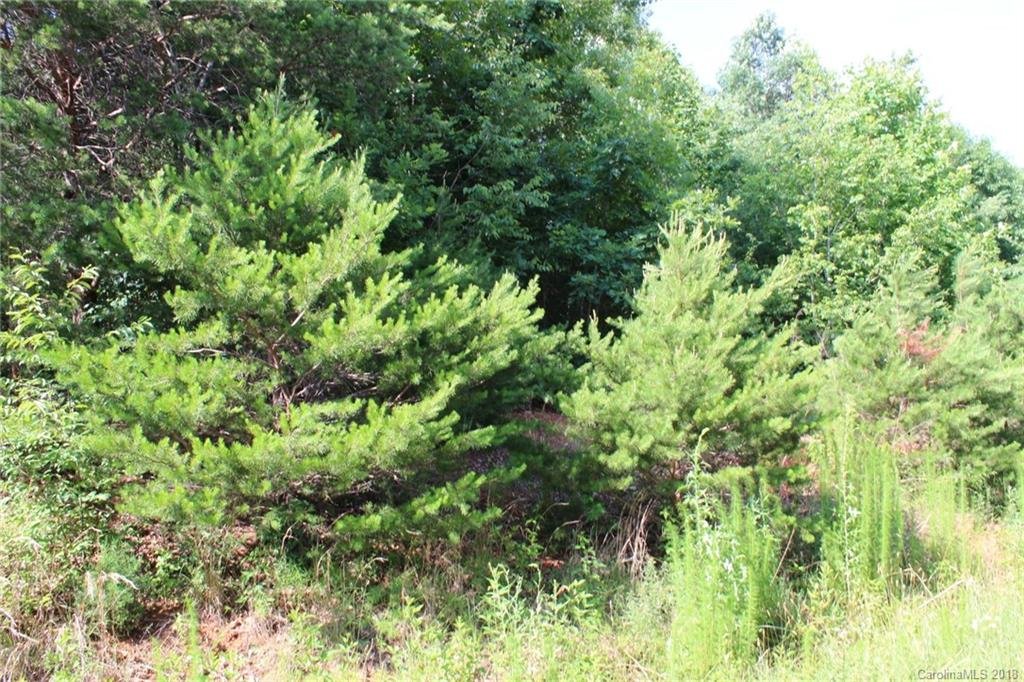 Property image 1 at 249 Donsdale Drive, Statesville, NC 28625