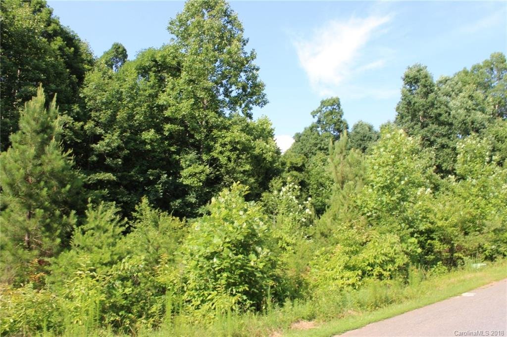 Property image 1 at 250 Donsdale Drive, Statesville, NC 28625