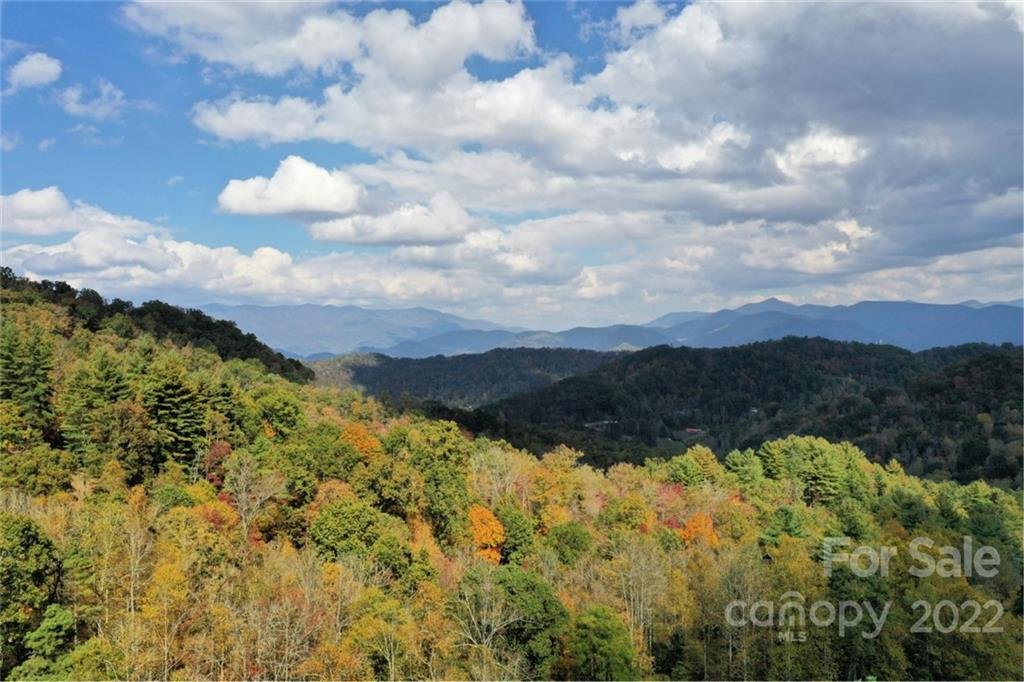 Vl302 Mountain Forest Estates None