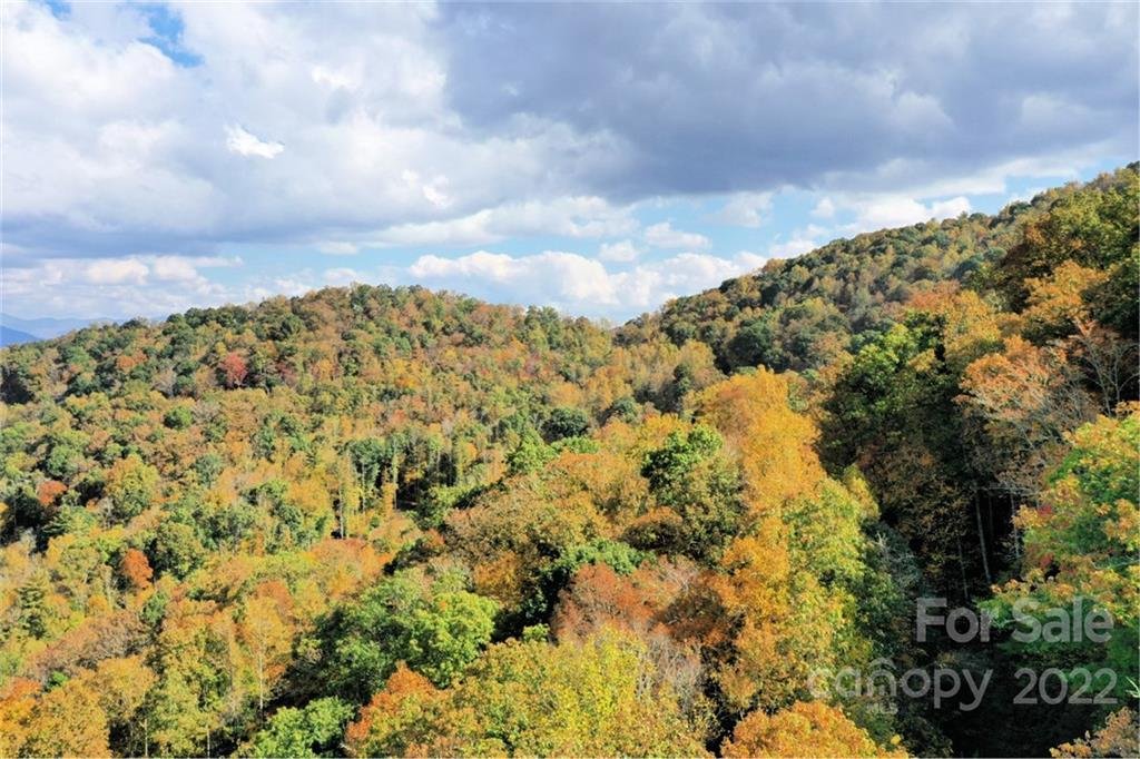 Property image 4 at Vl302 Mountain Forest Estates None, Sylva, NC 28779
